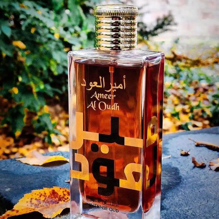 Ameer Al Oud 100ml